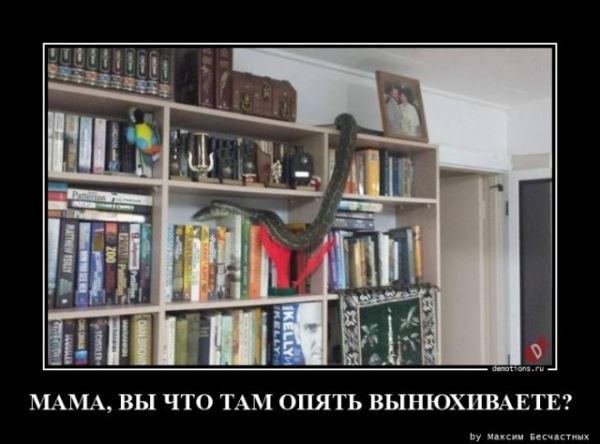 Демотиваторы – приколы: «А грибы-то зачем?..» (16 фото)