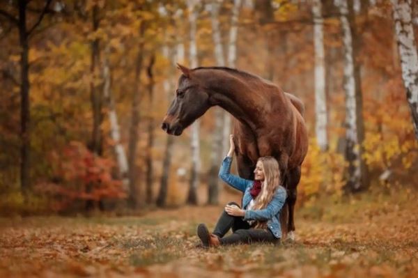 Финалисты международного конкурса на лучшую фотографию домашнего животного 2024 года, которые заставят вас улыбнуться (15 фото)