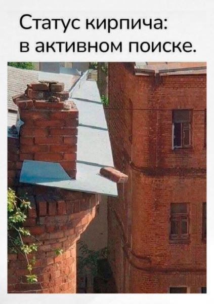 Фотоприколы для всех (38 шт)