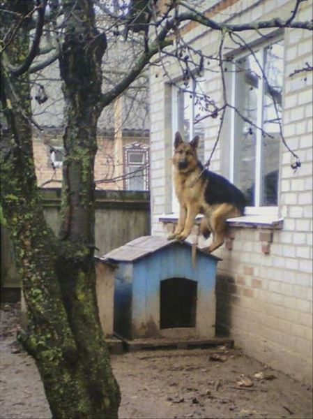 Прикольные картинки в середине недели (32 шт)