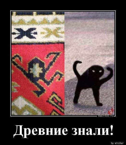 Новая порция демотиваторов: «Я ревел…»  (15 фото)