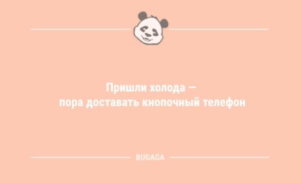 Анекдоты в начале дня: «Взрослая жизнь — это…» (8 шт)