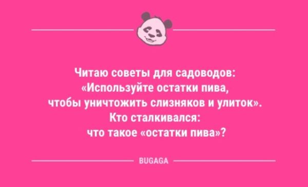 Анекдоты дня: «Любая женщина знает…» (12 шт)